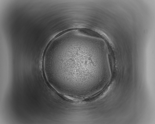 X0000101411081200807211050