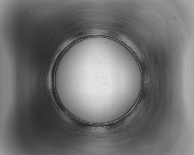 X0000101411082200807211050