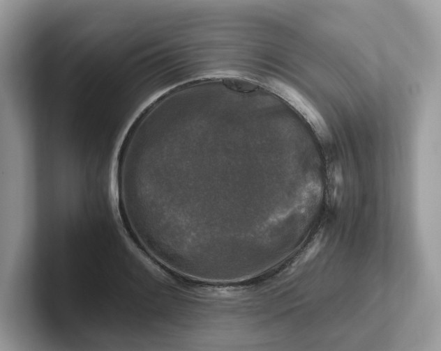 X0000101411084200807211050