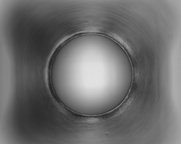 X0000101411085200807211050