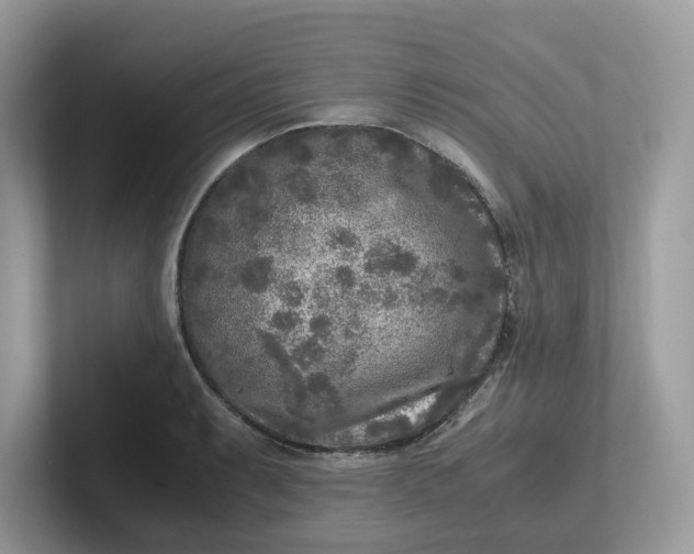 X0000101411087200807211050