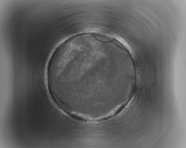 X0000101411088200807211050