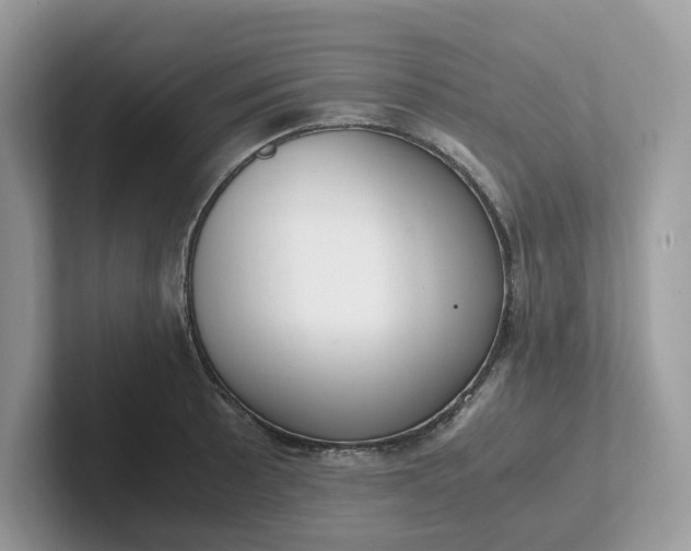 X0000101411089200807211050