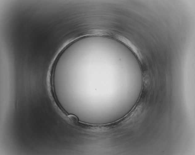 X0000101411091200807211050