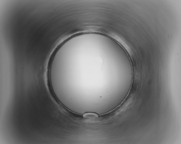 X0000101411093200807211050