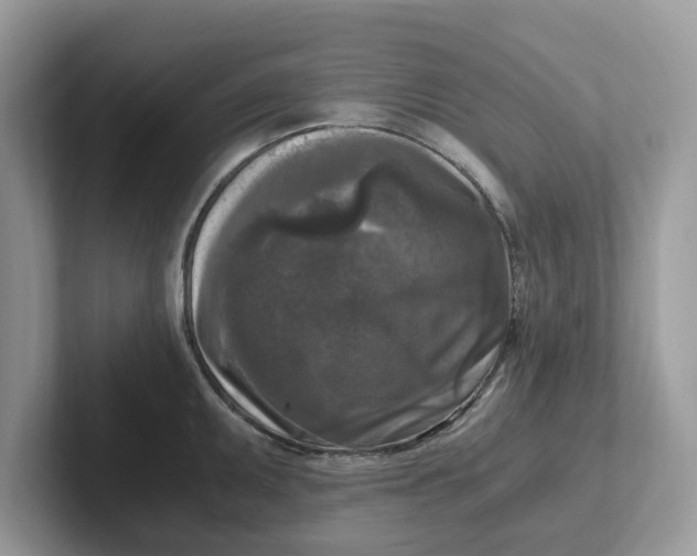 X0000101411095200807211050