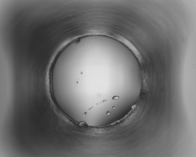 X0000101411096200807211050