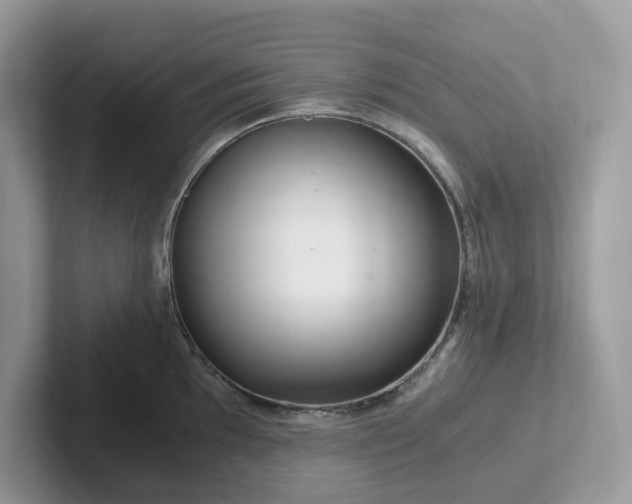 X0000101411097200807211050