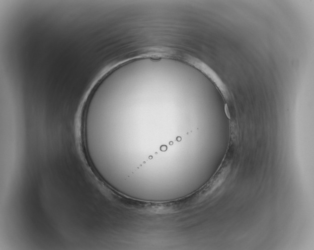 X0000101411099200807211050