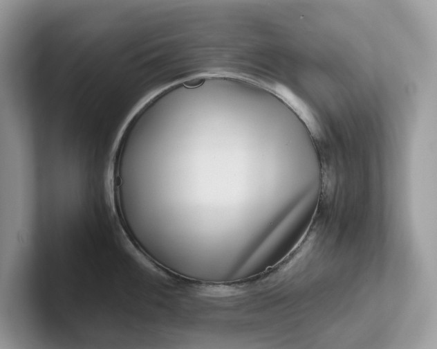 X0000101411100200807211050