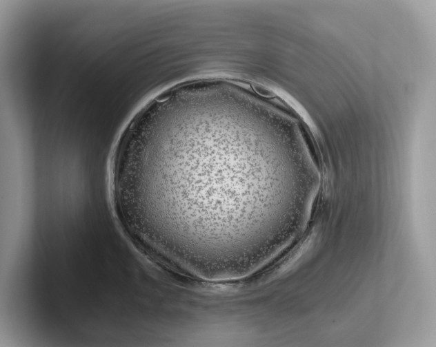 X0000101411101200807211050