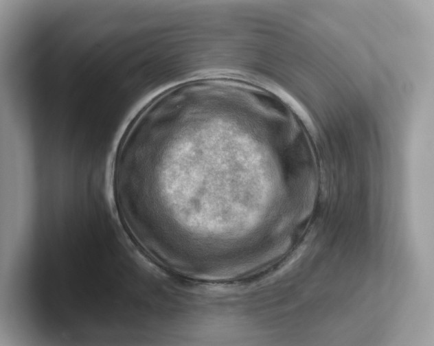 X0000101411102200807211050