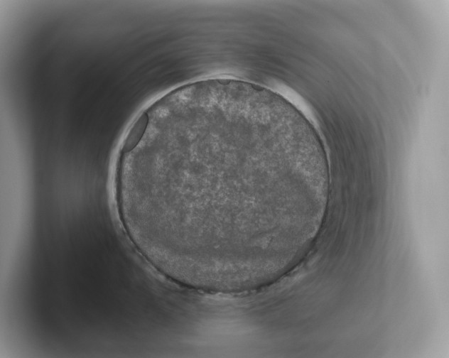 X0000101411104200807211050