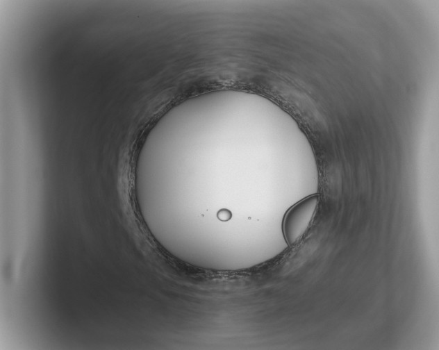 X0000101411105200807211049