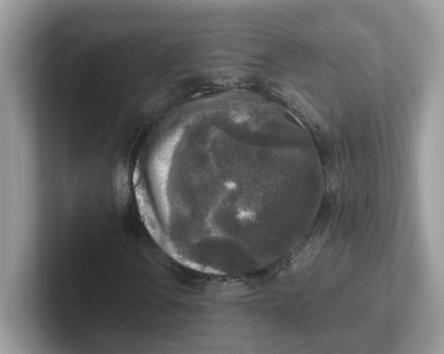 X0000101411106200807211049