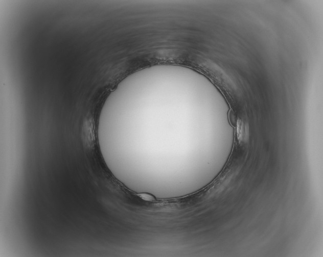 X0000101411107200807211049