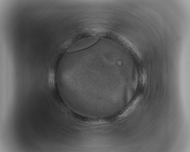 X0000101411108200807211049