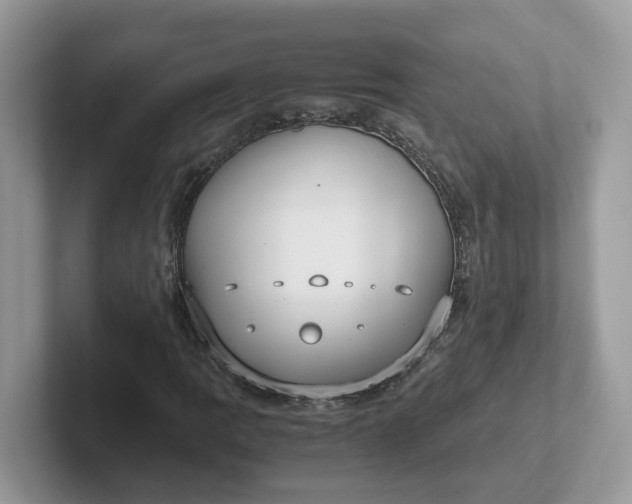 X0000101411109200807211049