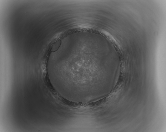 X0000101411110200807211049