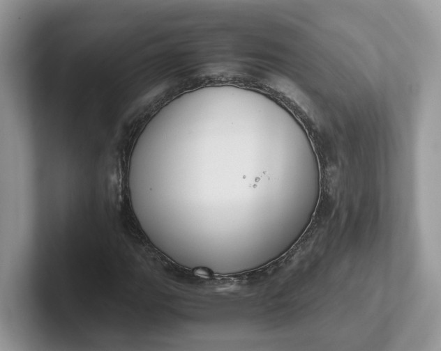 X0000101411111200807211049