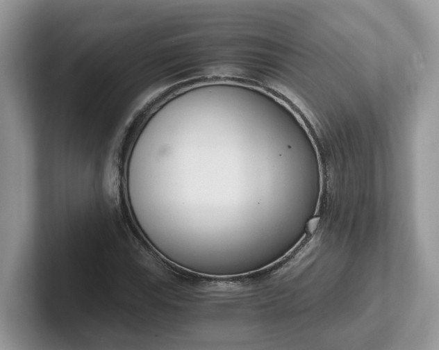 X0000101411115200807211049