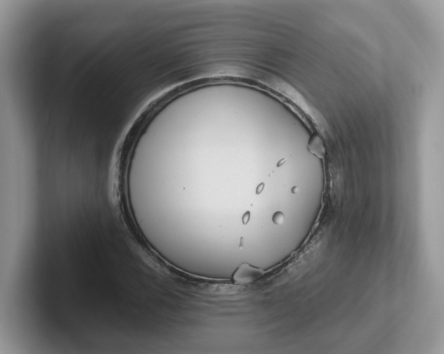 X0000101411116200807211049