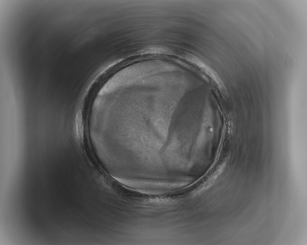 X0000101411117200807211049