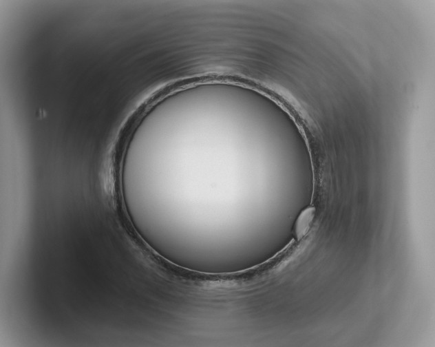 X0000101411118200807211049