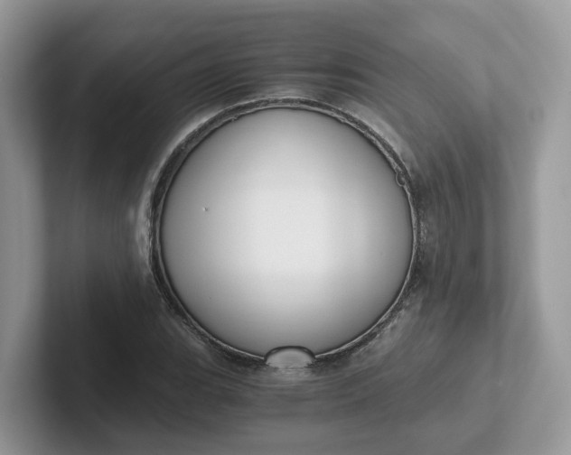 X0000101411119200807211049