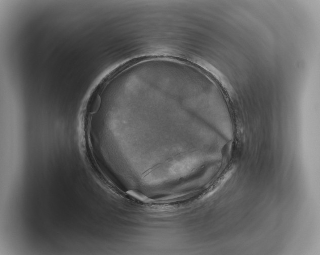 X0000101411120200807211049