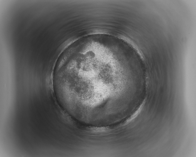 X0000101411121200807211049