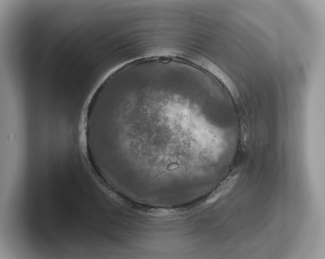 X0000101411124200807211050