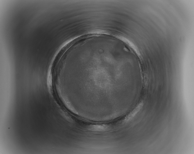 X0000101411125200807211050