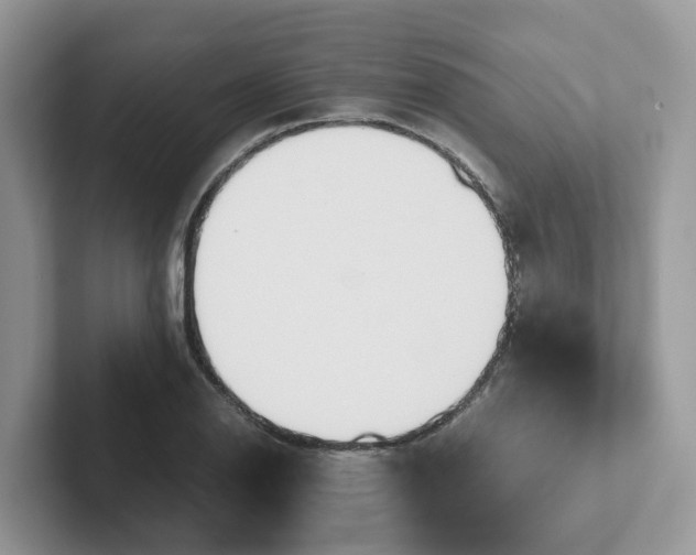 X0000101411126200807211050