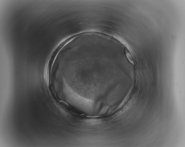 X0000101411127200807211050