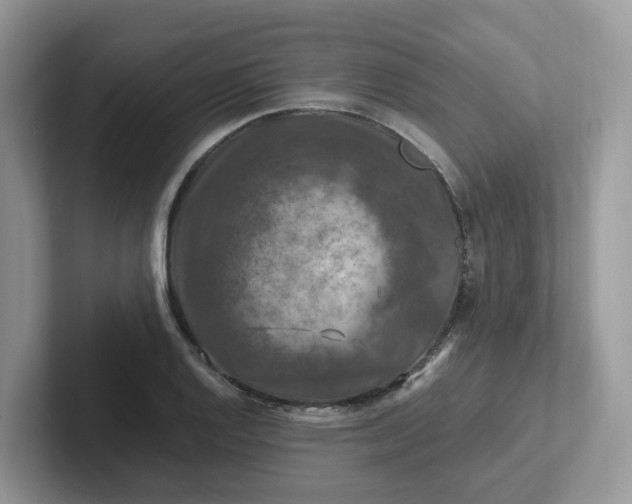 X0000101411128200807211050