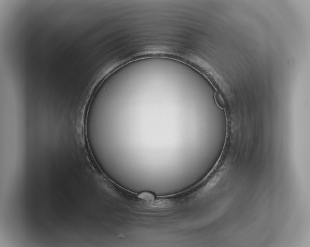 X0000101411129200807211050