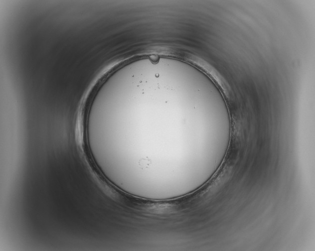 X0000101411131200807211050