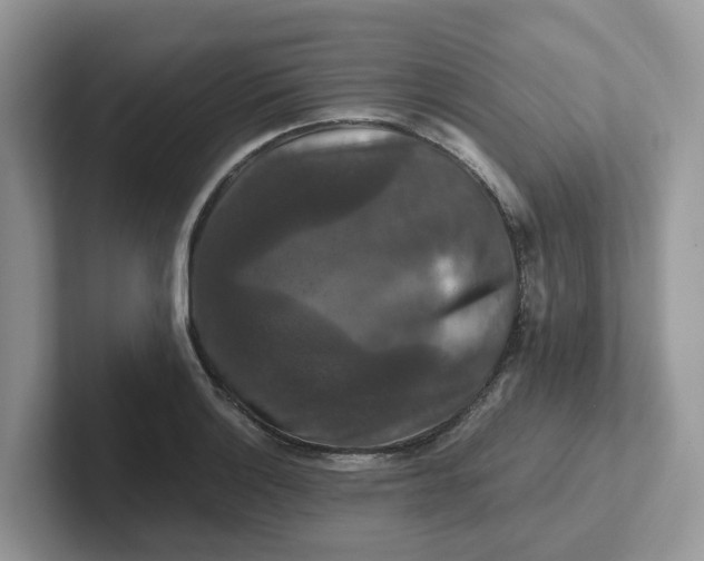 X0000101411132200807211050