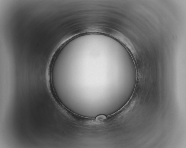 X0000101411133200807211050