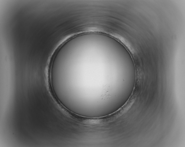 X0000101411134200807211050