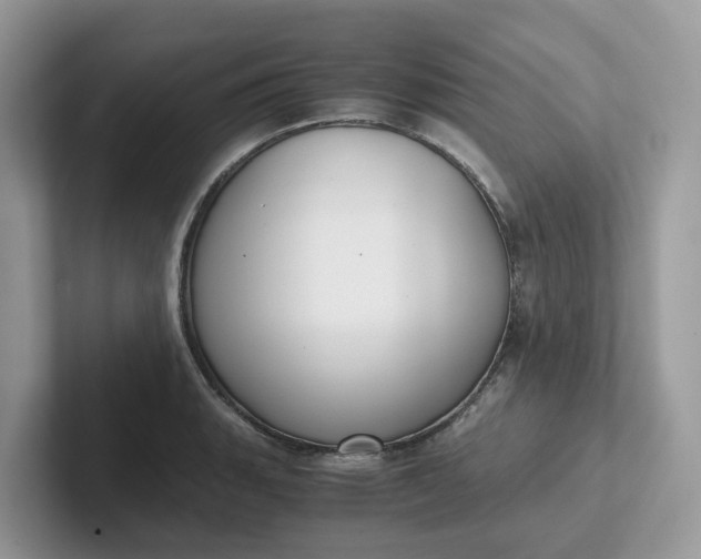 X0000101411135200807211050