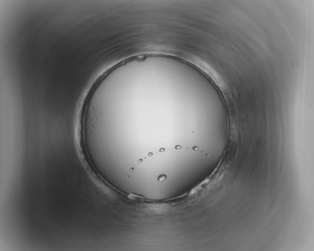 X0000101411136200807211050