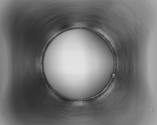 X0000101411137200807211050