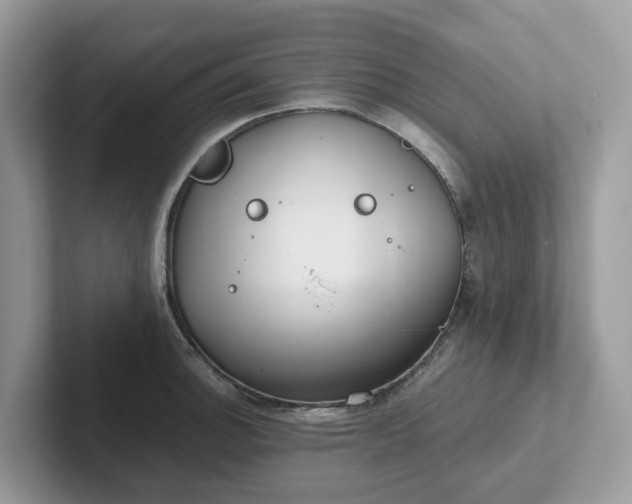 X0000101411140200807211050