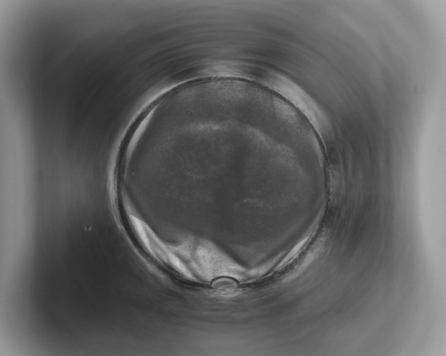 X0000101411141200807211050