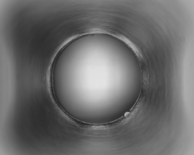 X0000101411142200807211050