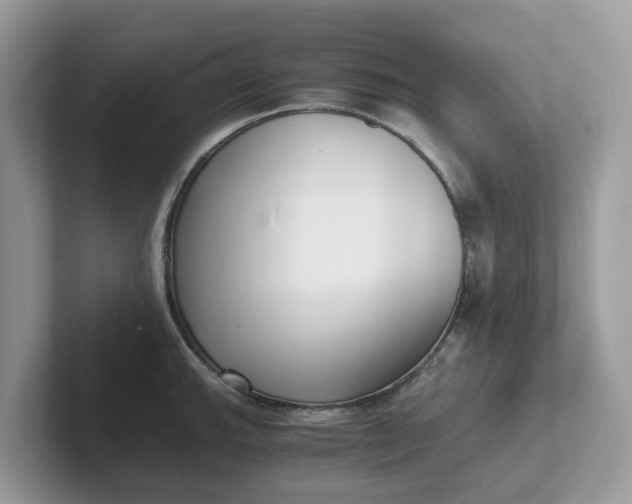 X0000101411143200807211050