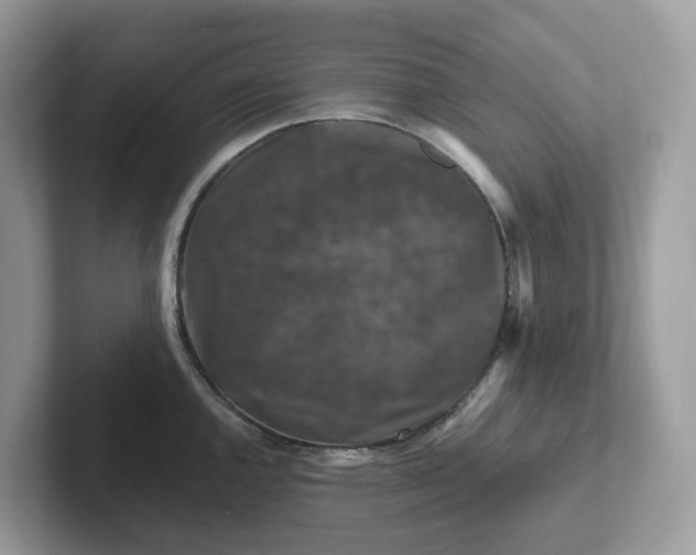 X0000101411144200807211050