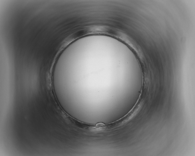 X0000101411145200807211050